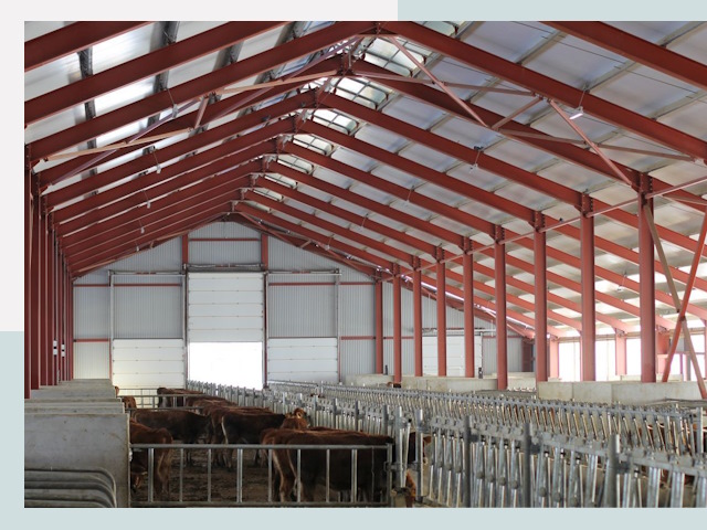 Строительство коровников в Алапаевске