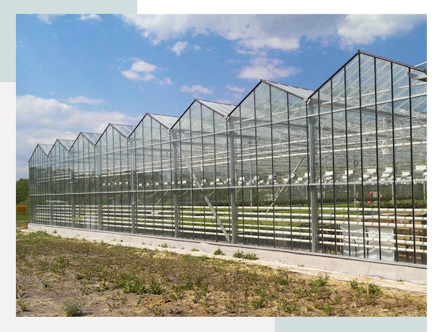 Строительство теплиц в Алапаевск от 642 руб. за м²