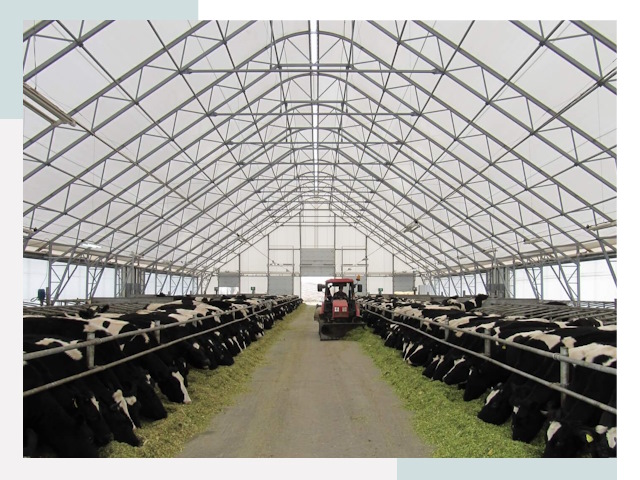 Тентовые коровники в Алапаевске от 642 руб. - Надежно и доступно