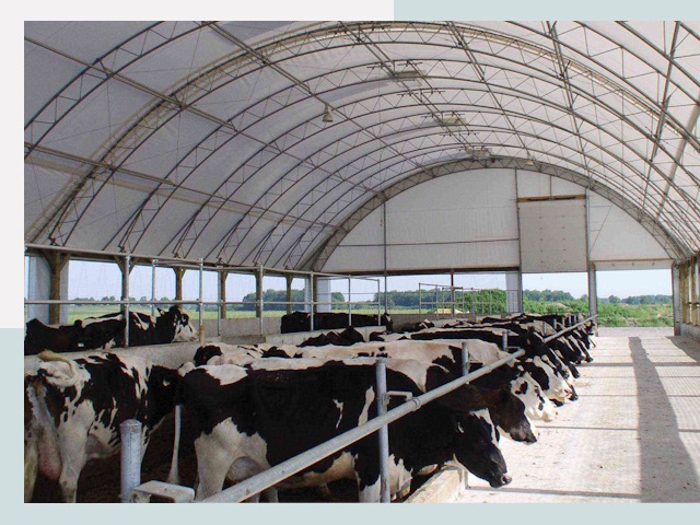 Тентовые коровники в Алапаевске